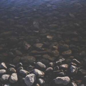 Demo Product #1 - Lorem ipsum dolor sit amet consectetur adipiscing elit sed do